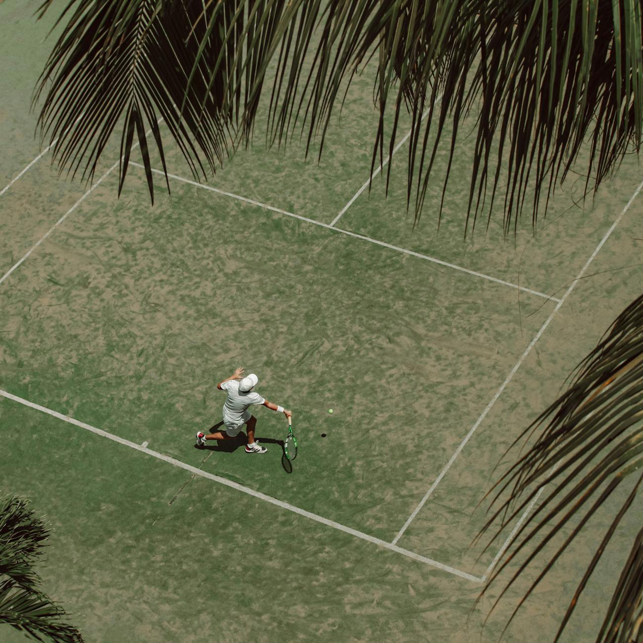 Entre verdes: La belleza de la naturaleza en el Abierto de Tenis GNP Seguros