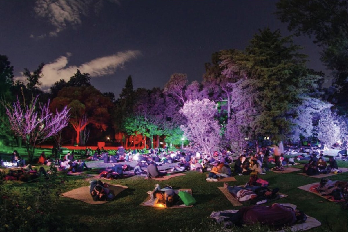 Picnic Nocturno en Chapultepec: Spora 2025