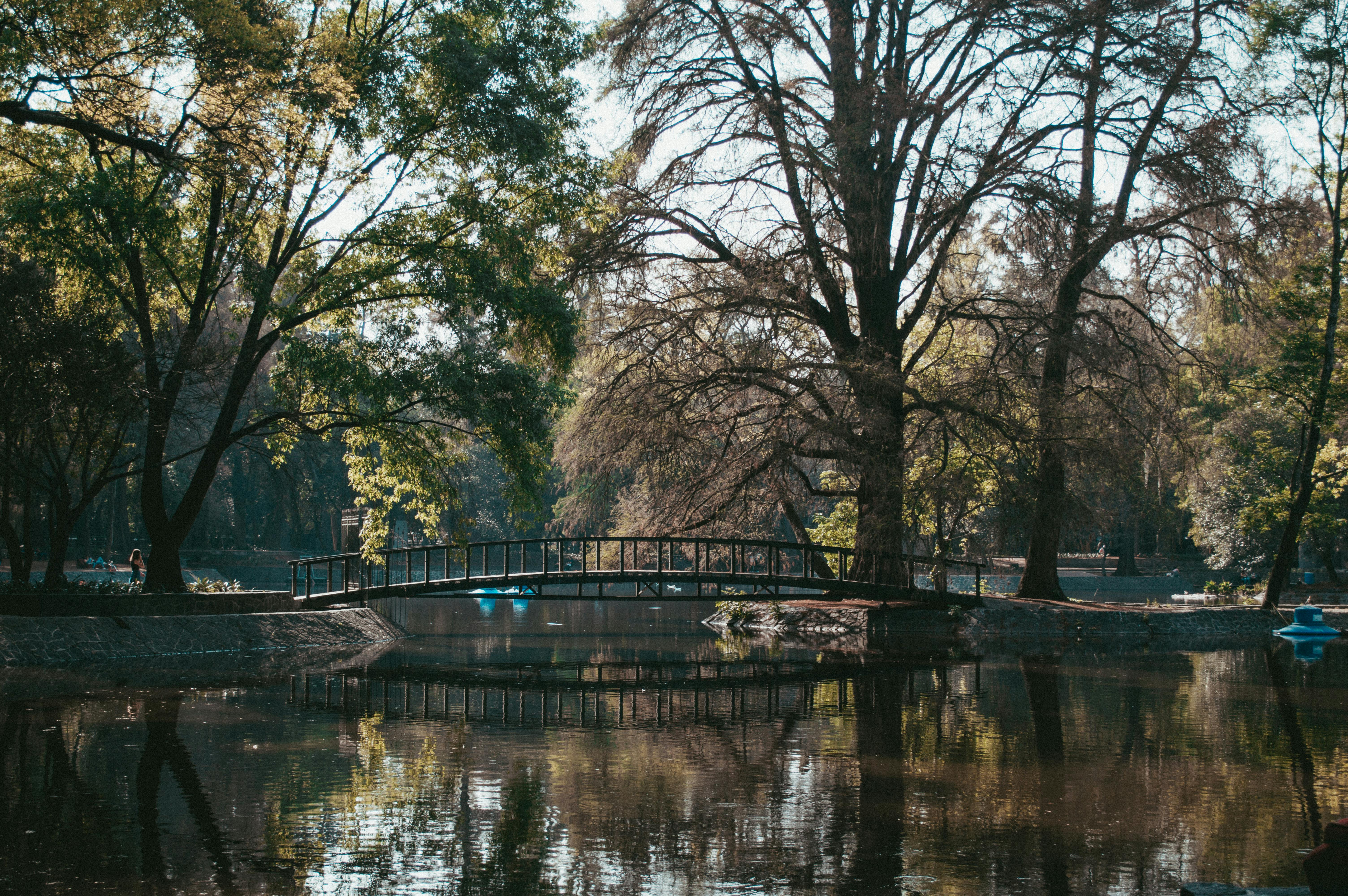 ¿Qué Hacer en CDMX del 12 al 18 de Mayo? – Agenda Aleteo 2025