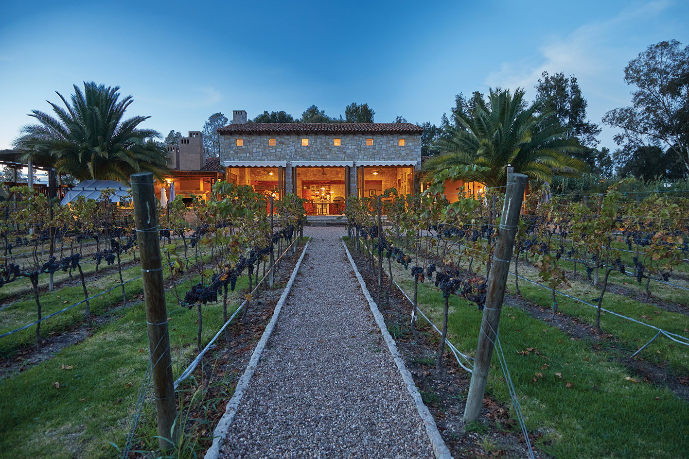 Guanajuato a través del vino, festivales y viñedos para vivir el destino