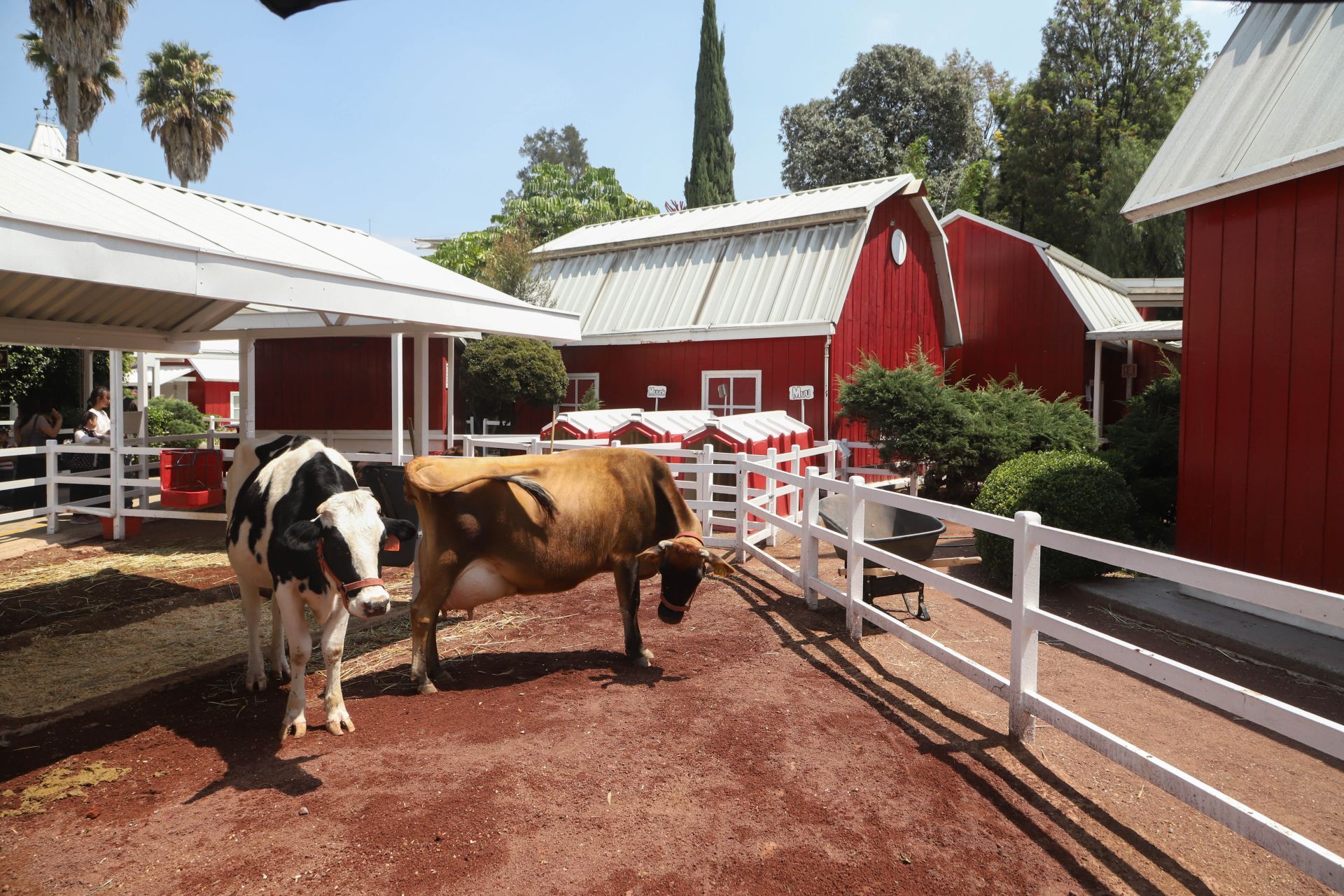La renovada Granja Las Américas, atracciones inmersivas y diversión familiar en la ciudad